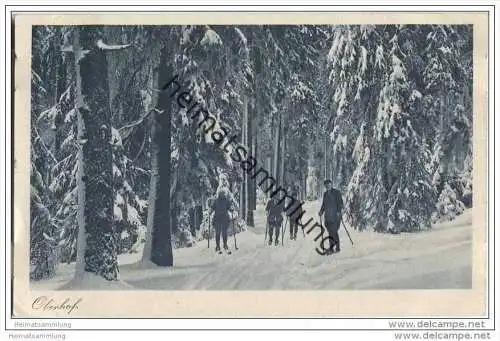 Oberhof - Verschneiter Winterwald