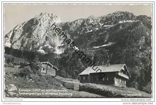 Karalpe mit Traunstein - Tennengebirge bei Abtenau - Foto-AK 40er Jahre