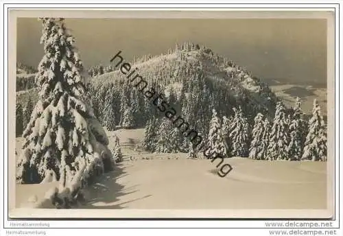 Blick vom Stubenberghaus auf dem Schöckel - Foto-AK 20er Jahre