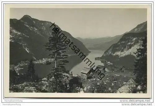 Hallstatt - Hirschaualm - Foto-AK 1929