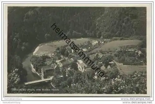 Treseburg - Blick vom Weissen Hirsch - Foto-AK