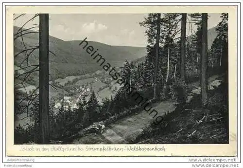 Blick in den Höllgrund bei Strümpfelbrunn - Waldkatzbach - Foto-AK