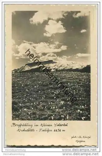 Kleines Walsertal - Krokusblüte - Hochifen - Foto-AK
