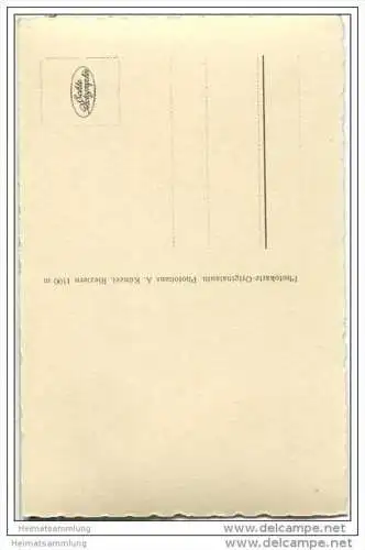 Kleines Walsertal - Krokusblüte - Hochifen - Foto-AK