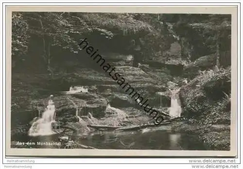 Aus dem Monbachtal - Foto-AK