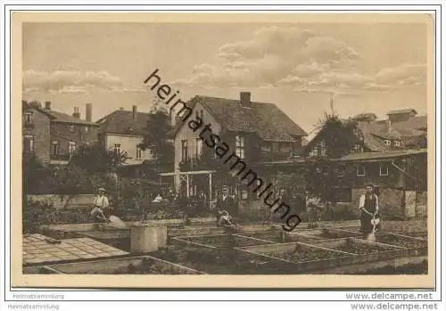 Hameln - Gärtnerei - Gartenbaubetrieb T. Menzel Hafenstrasse 14a ca. 1920