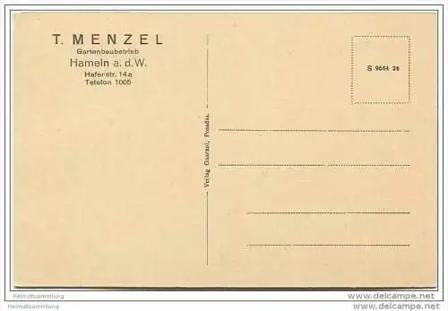 Hameln - Gärtnerei - Gartenbaubetrieb T. Menzel Hafenstrasse 14a ca. 1920