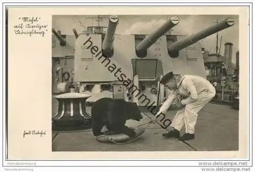 Kreuzer Königsberg - Bär - Foto-AK 30er Jahre