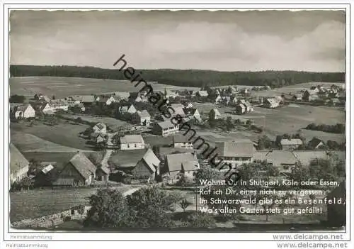 Besenfeld - Gesamtansicht - Foto-AK