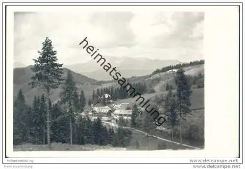 Blick auf Alpengasthof Bruggraber und Hohe Veitsch - Foto-AK