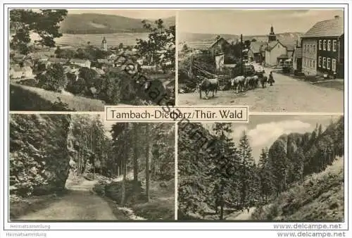Tambach-Dietharz - Foto-AK