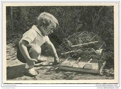 Junge mit einem Vogel im Käfig - AK Grossformat 40er Jahre