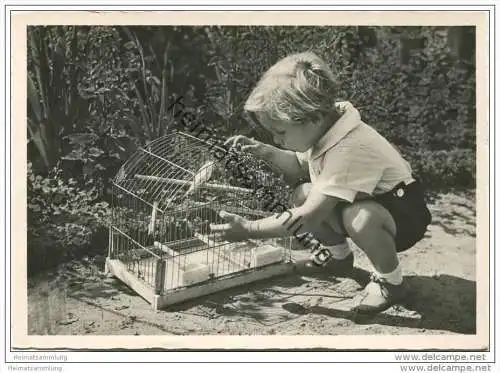 Junge mit einem Vogel im Käfig - AK Grossformat 40er Jahre