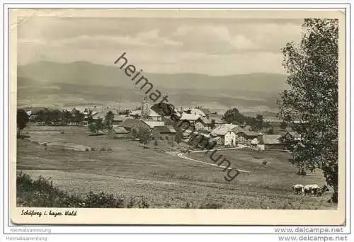 Schöfung - Foto-AK