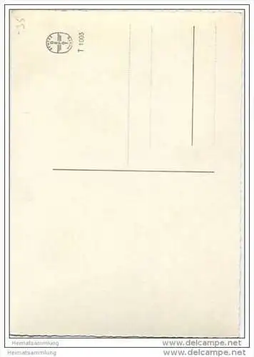 Pferde - Foto-AK Grossformat