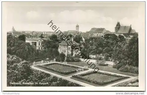 Delitzsch - Rosengarten - Rosarium im Kurpark- Foto-AK