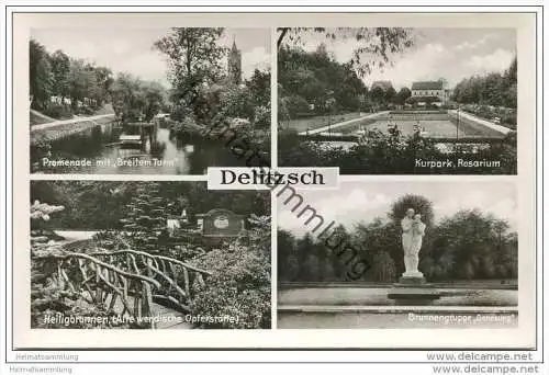 Delitzsch - Promenade - Kurpark - Heiligenbrunnen - Foto-AK