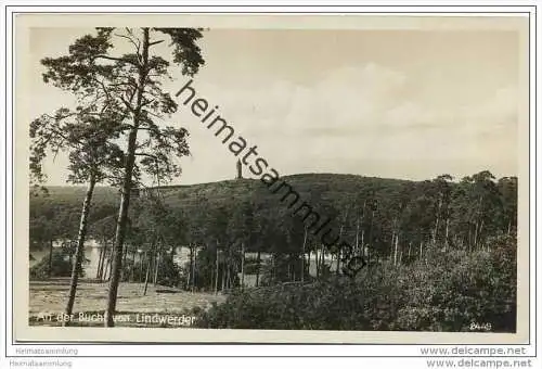 Berlin-Grunewald - An der Bucht von Lindwerder - Foto-AK 1935