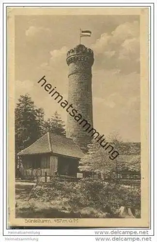 31840 Bensen - Süntelturm