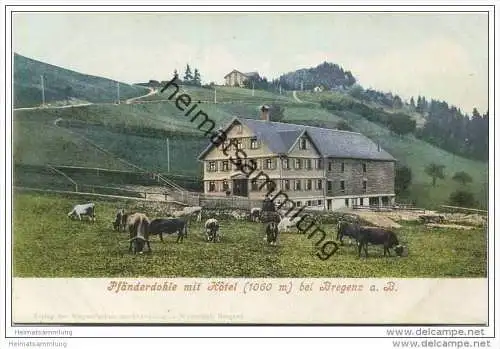 Lochau - Pfänderdohle mit Hotel bei Bregenz a. B. ca. 1905