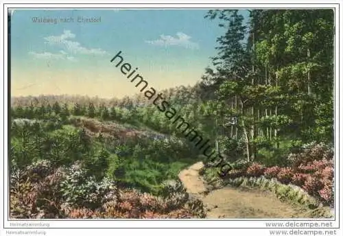 21224 Rosengarten - Waldweg nach Ehestorf