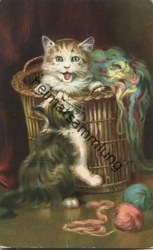 spielende Katzen im Wollkorb