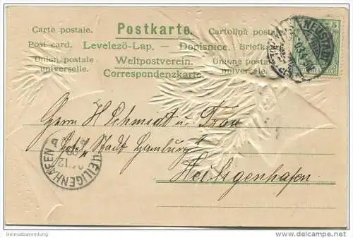 Fröhliche Weihnachten - Tannenzweig - Prägedruck - Erika-Karte N° 780 gel. 1903