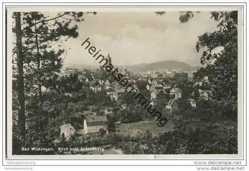 Bad Wildungen - Blick vom Schlossberg - Foto-AK