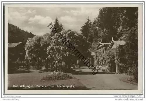 Bad Wildungen - Partie an der Helenenquelle - Foto-AK