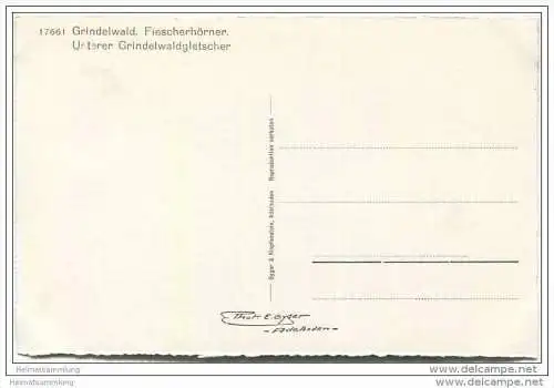 Grindelwald - Fiescherhörner - Unterer Grindelwaldgletscher - Foto-AK 50er Jahre