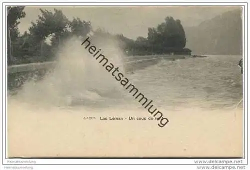 Genève-Genf - Un coup de vent