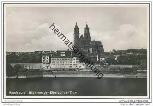 Magdeburg - Blick von der Elbe auf den Dom - Foto-AK