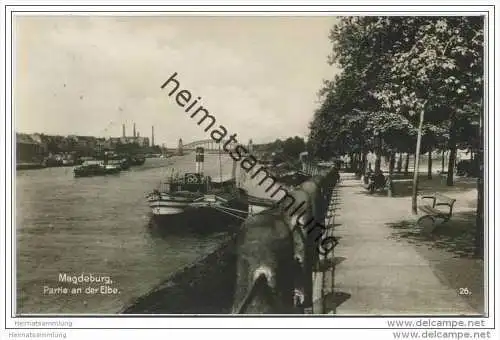 Magdeburg - Partie an der Elbe - Foto-AK