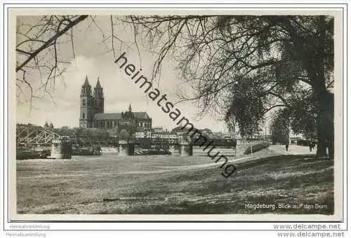 Magdeburg - Blick auf den Dom - Foto-AK