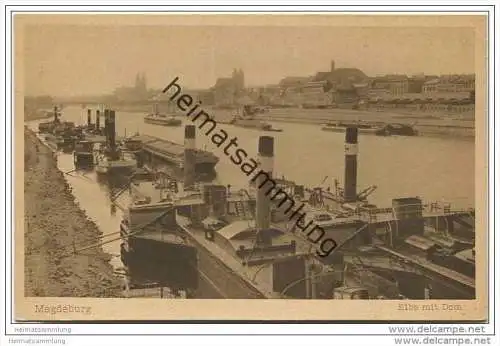 Magdeburg - Elbe mit Dom 20er Jahre