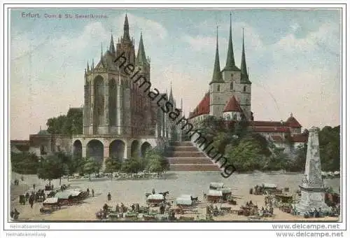 Erfurt - Dom und St. Severinkirche ca. 1910