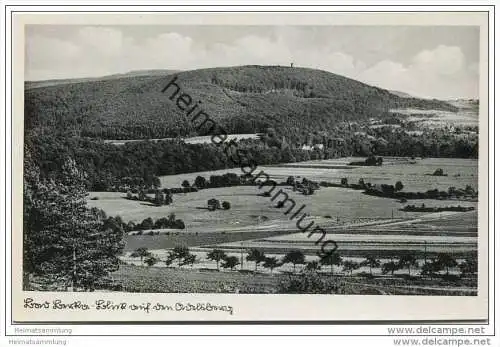 Bad Berka - Blick auf den Adelsberg