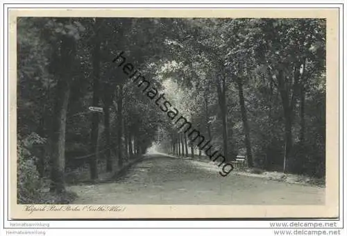 Bad Berka - Kurpark - Goethe Allee