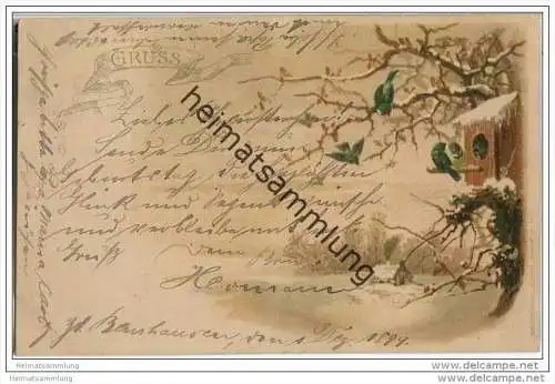 Gruss - Vögel - Nistkasten