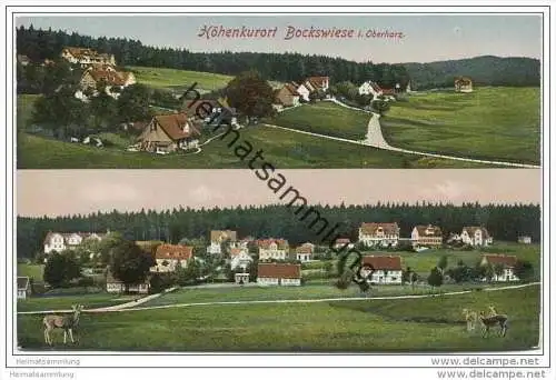 Hahnenklee Bockswiese - Panorama ca. 1910