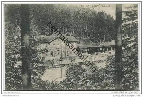 Rübeland (Harz) - Bahnhof ca.1910