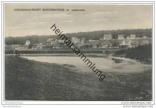 Hahnenklee Bockswiese - Panorama ca. 1910