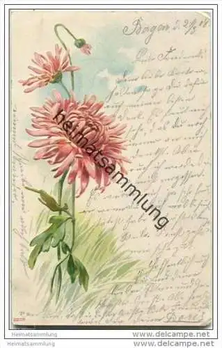 Blumen - Astern - Prägedruck