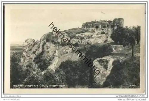 Burg Regenstein - Foto-AK 50er Jahre