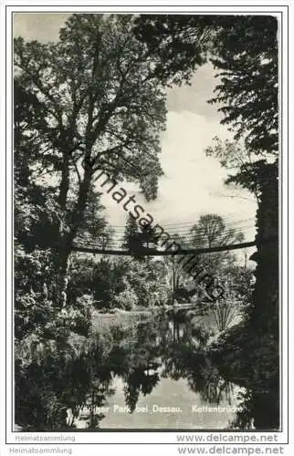 Wörlitzer Park - Kettenbrücke - Foto-AK 50er Jahre