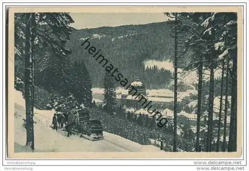 St. Blasien im Winter - Pferdeschlitten mit Holz beladen