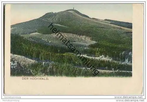 Der Hochwald 20er Jahre