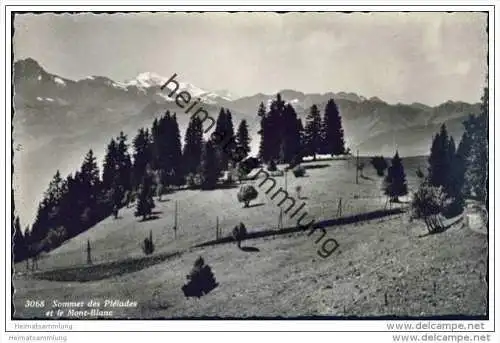 Sommet des Pleiades - Foto-AK