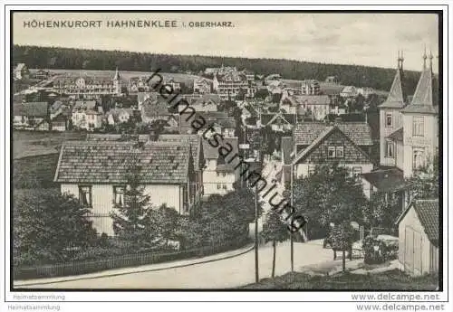Höhenkurort Hahnenklee im Oberharz ca. 1920