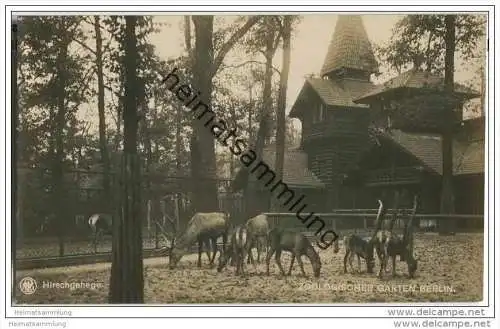 Berlin-Charlottenburg - Zoologischer Garten - Hirschgehege - Foto-AK - Verlag des Aktien-Vereins des zoologischen Garten